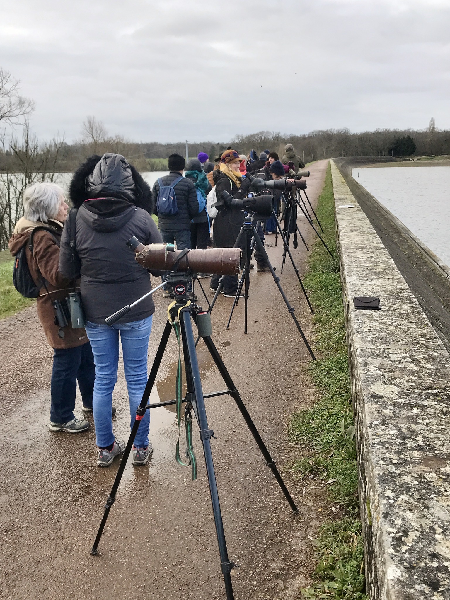 Wetlands International : comptage des oiseaux d'eau hivernants sur les bassins de Saint-Vit et Osselle